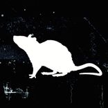 Artwork for "Grubbiness"