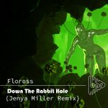 Artwork for "Down The Rabbit Hole (Jenya Miller Remix)"