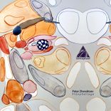 Artwork für "Flösphellage"