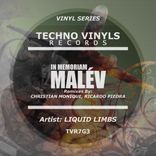 Artwork voor "In Memoriam Malév"