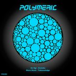 Artwork for "Zestoko"