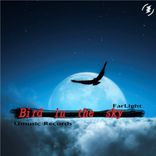 Artwork for "Bird In The Sky"