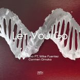Artwork for "Let You Go"