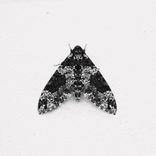 Artwork voor "Flames Around EP"