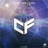 Artwork for "Dudham"