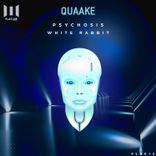 Artwork for "Psychosis / White Rabbit"
