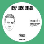 Portada para "Rikers / Daytona"