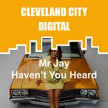 Portada para "Haven't You Heard"