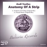 Artwork voor "Anatomy of a Strip"