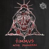 Artwork for "Wise Mountain"