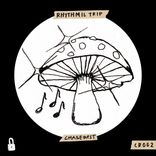 Artwork for "RHYTHMIC TRIP"