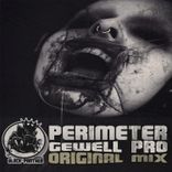 Artwork for "Perimeter"