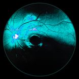 Artwork for "What Is Love"