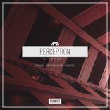 Artwork für "Perception"