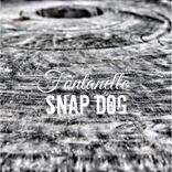 Portada para "Snap Dog"