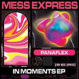 Artwork for "In Moments"