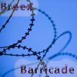 Portada para "Barricade"