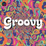 Portada para "Groovy"