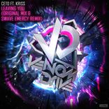 Artwork for "Leaving You"