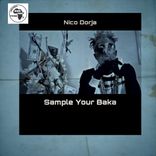 Artwork for "Sample Your Baka"