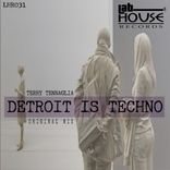 Artwork für "Detroit is Techno"