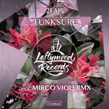 Artwork for "Funksure"