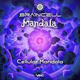 Artwork for "Cellular Mandala"