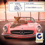 Artwork for "Coeur Solitaire"