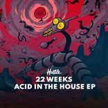 Artwork for "Acid In The House"