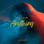 Artwork voor "Anything"