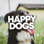 Artwork für "Happy Dogs"