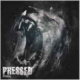 Artwork for "King Lion"