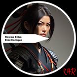 Artwork for "Electronique"