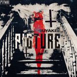 Artwork for "Picture"