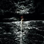 Artwork für "Lophidae"