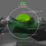 Artwork für "Racoon"