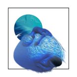 Artwork for "Shoppin' Around"