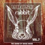 Artwork for "House Rabbit Vol. 7"