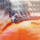 Artwork voor "Terugblik"