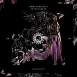 Portada para "In the Dark"