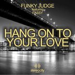 Artwork for "Hang On To Your Love (Funky Judge Club Mix)"