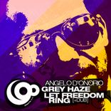 Artwork for "Grey Haze / Let Freedom Ring"
