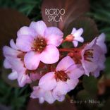 Artwork für "Spica"