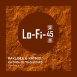 Artwork for "Kingfisher / Bad Wizard"