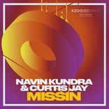 Artwork voor "Missin!"