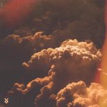 Artwork for "Wild Things"