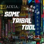 Artwork voor "Some Tribal Tool, Vol. 2"