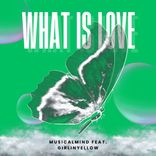 Artwork voor "What Is Love"