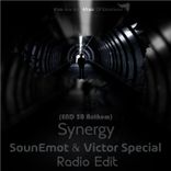 Artwork für "Synergy"