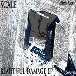 Beautiful Damage